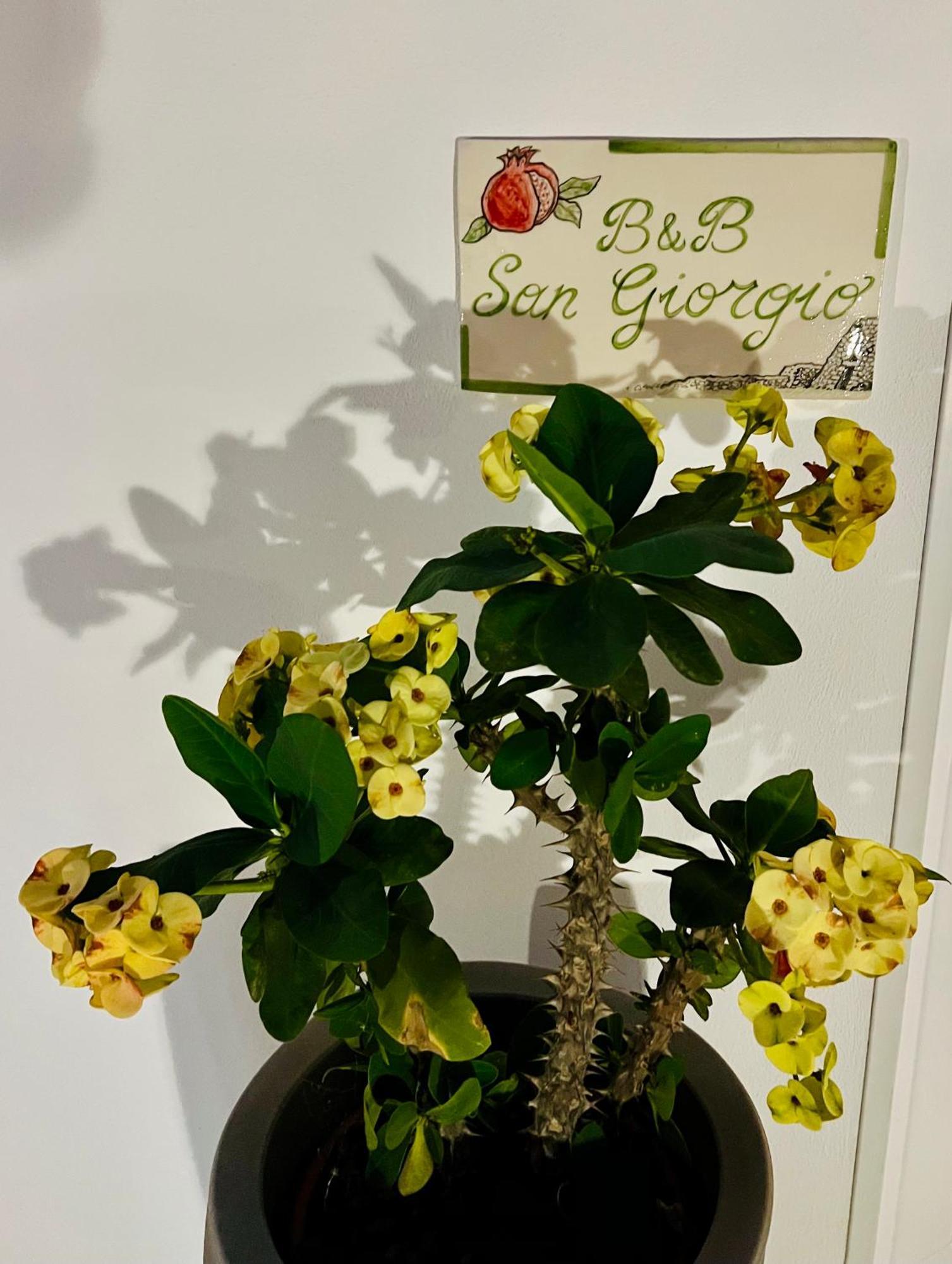 B&B Sangiorgio ボルガニェ エクステリア 写真